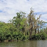 Costa Rica20150401-1851-0579